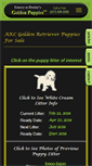 Mobile Screenshot of golden-puppies.com